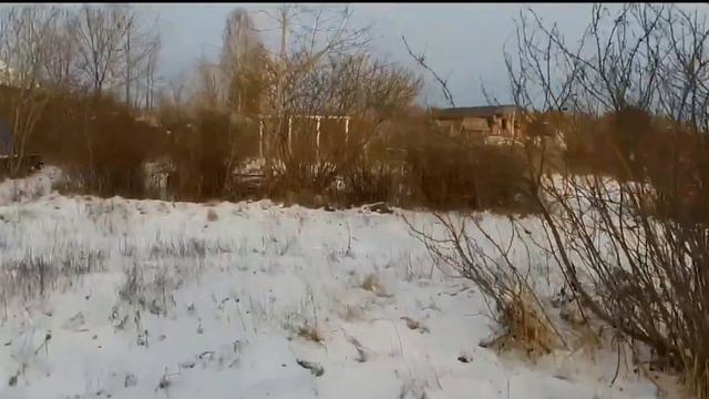 В парке смотреть онлайн