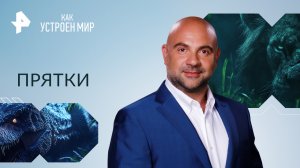 Прятки — Как устроен мир с Тимофеем Баженовым (21.09.2023)