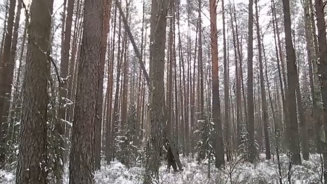 Методология_Выживания_Трейлер