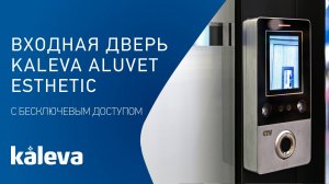 Входные двери в коттедж Kaleva Aluvet Esthetic