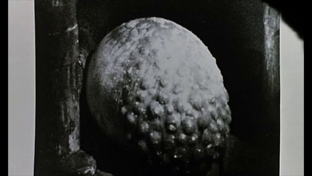 Contamination (1980) - HD Trailer [1080p] смотреть онлайн