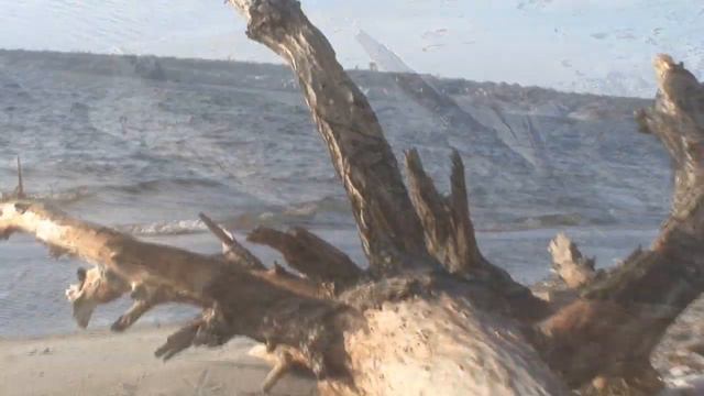 "Прогулка в декабре". Музыка Максима Чигинцева смотреть онлайн