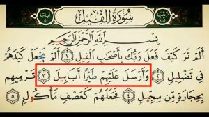 Фил сураси шайх Алижон кори