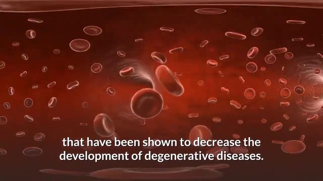 Paleo Grubs Book - paleo grubs book review - paleo grubs book download - paleo grubs book pdf смотреть онлайн