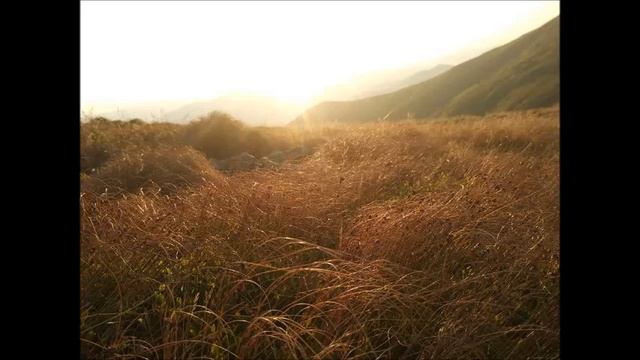 Степовий, сл. Шевченка. Із-за гаю сонце сходить Михайло Гришко 1939 смотреть онлайн