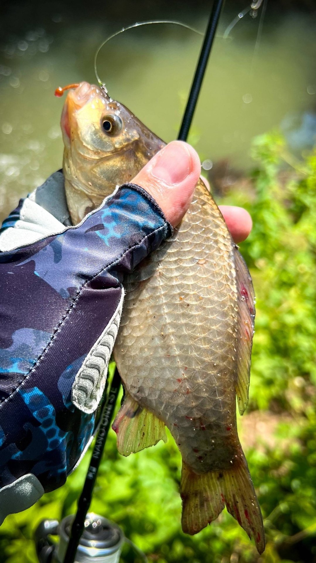 БЬЁТ МОРМОБИТ 🎶🎣 смотреть онлайн