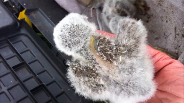 Jongen dag 6 tot 19 смотреть онлайн