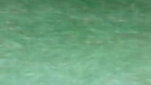 Proevulotinsoccer 2009 Traum Tore Achim & Berto смотреть онлайн