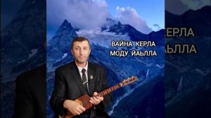 Вайна Керла моду йаьлла илли Джамалай