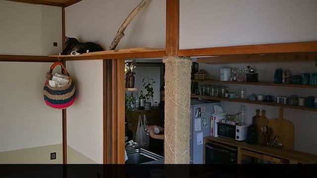 Y2mate.mx-#92 仕事前のアンニュイ時間｜熱海の過ぎゆく夏の雨