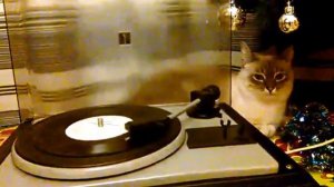 В Новый год со старой пластинкой Би Джиз