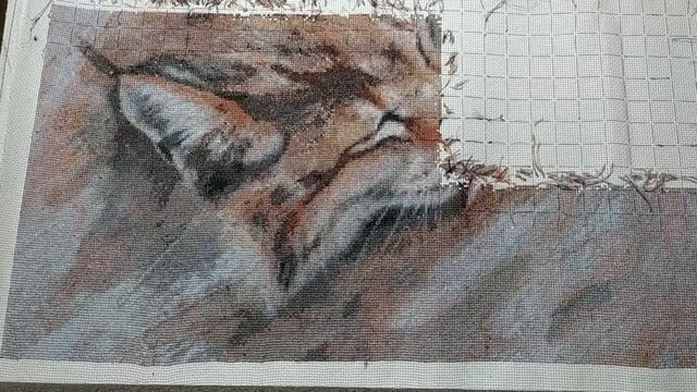 Мой сладенький. Что на канве? смотреть онлайн