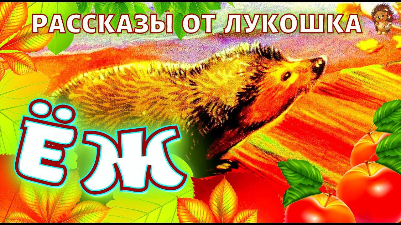 Ёж — Рассказ | Михаил Пришвин | Аудио рассказы | Рассказы про животных | Рассказы Пришвина смотреть онлайн