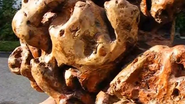 Gebhard von Winterfeld: Apokalypse смотреть онлайн