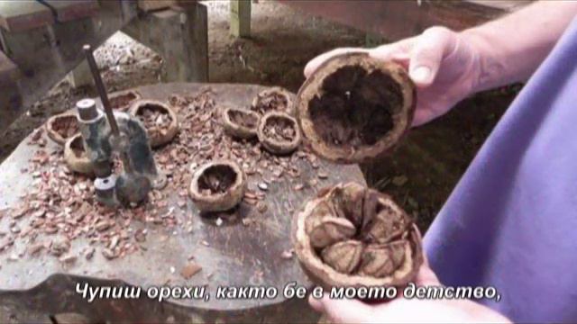 СВЕТЛА КОЛЕДА, МАМО! смотреть онлайн