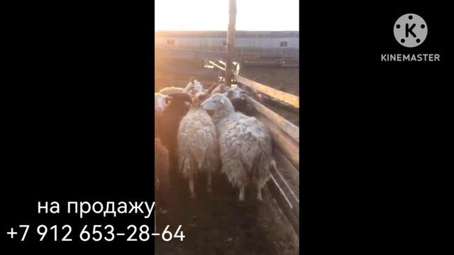 на продажу смотреть онлайн