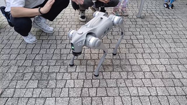 робот-собака