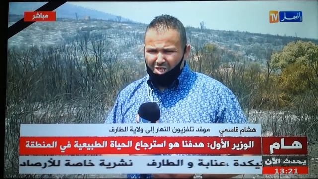 Hichem Guesmi en direct couvre les événements des Feux au Taref смотреть онлайн
