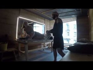 Питерский паровозик на чемпионате "Шишкин пар" 23
Вид из парной.