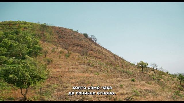 ПОВЕЛИТЕЛЯТ НА ГОРИТЕ / The Forest Maker | 27 SofiaIFF #RECONNECT смотреть онлайн