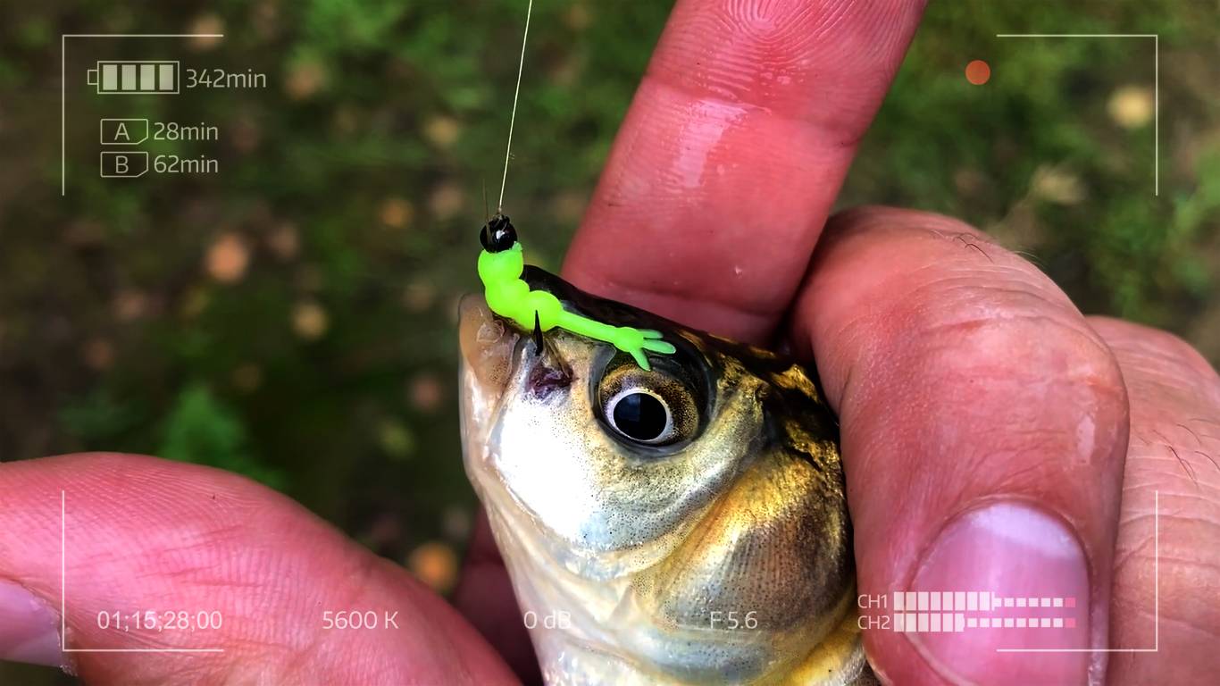 Забудь о бесклёвье! 11lures Chikki смотреть онлайн