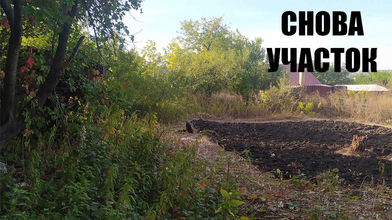 Снова участок