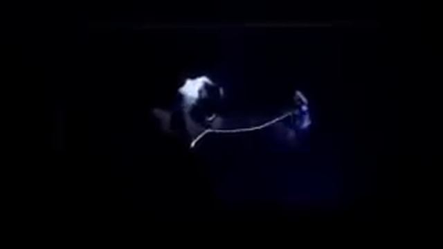 Marilyn Manson Ft Dita Von Teese   Para Noir Music Video   Video Dailymotion