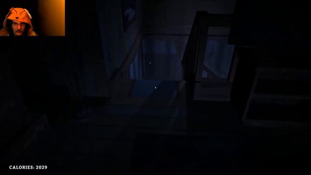 Clothing, Crackers and Wolf Stabbings Galore! The Long Dark, Coastal Highway, Part 4 60FPS смотреть онлайн