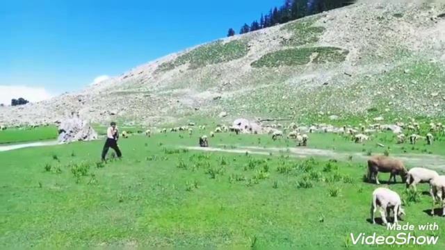 setam gar dy janan setem gar swat valley смотреть онлайн