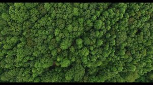 (Frank Duval) the best Hits of Relax music. Enjoy it.