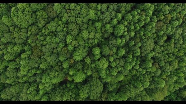 (Frank Duval) the best Hits of Relax music. Enjoy it.