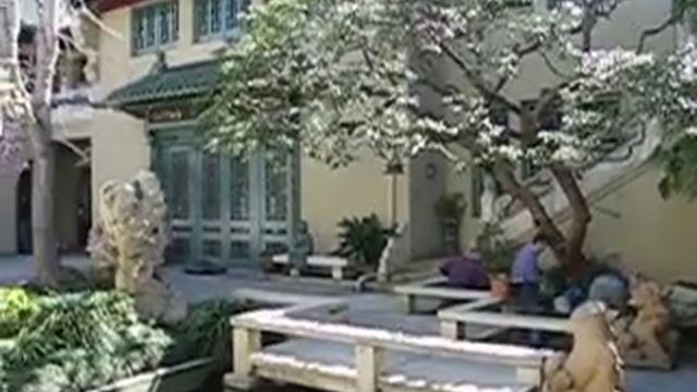 Pacific Asia Museum 1 смотреть онлайн