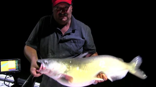 The Nite Bite: Catch Big Catfish after Dark смотреть онлайн