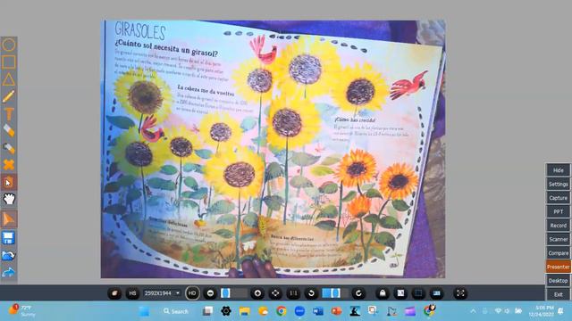 El gran libro de las flores por Yuval Zommer смотреть онлайн