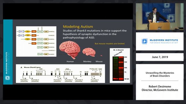 Robert Desimone, Unraveling The Mystery Of Brain Disorders: MIT Reunion