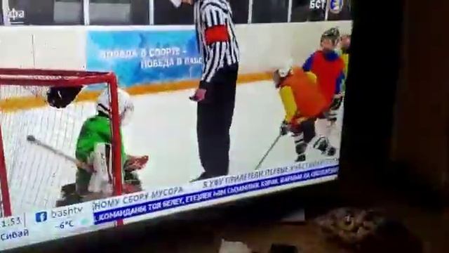 Турнир СЮ 2013 смотреть онлайн