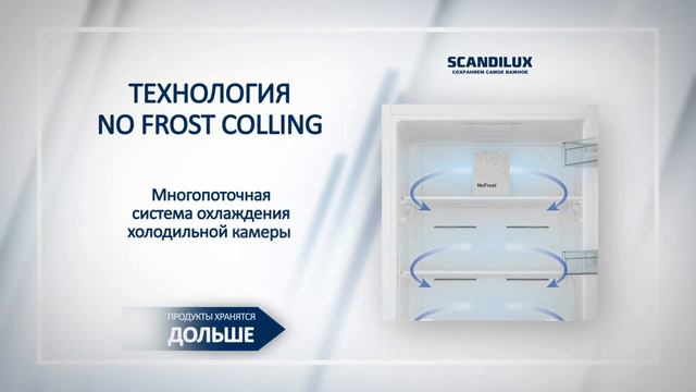 Обзор холодильника Scandilux R 711 Y02 W смотреть онлайн