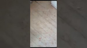 Как убрать скрипы деревянного пола [все способы в одном видео].