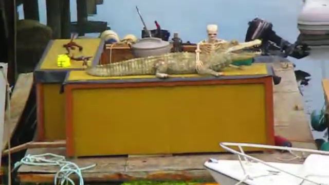 Skeleton & an Alligator смотреть онлайн