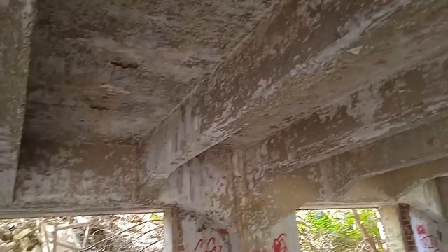 Алексей Караковский - ТРК Родина смотреть онлайн