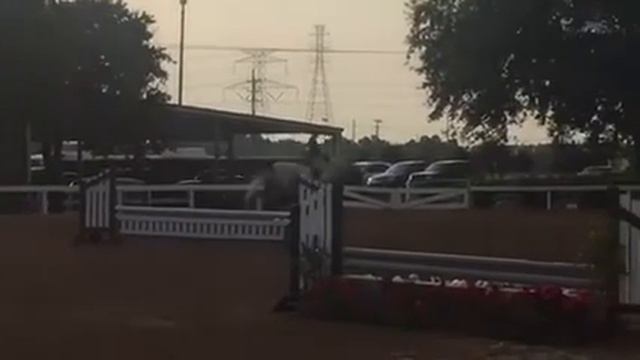 Ricky showing смотреть онлайн