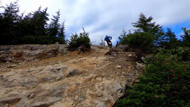 Leatt Защитный панцирь 5.5 Pro смотреть онлайн