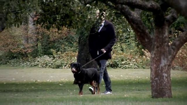 När ljuset släcks av Magnus Hedman och Gunnar von Sydow смотреть онлайн