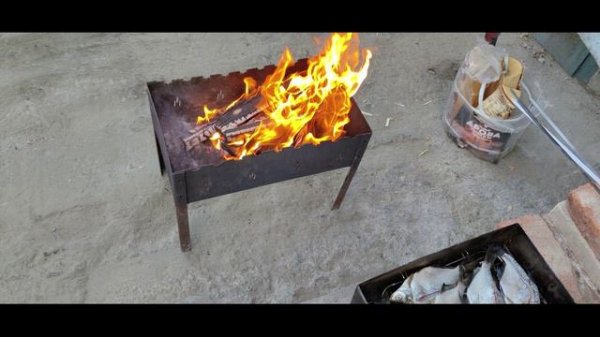 Наловил рыбки и закоптил, вкуснятина