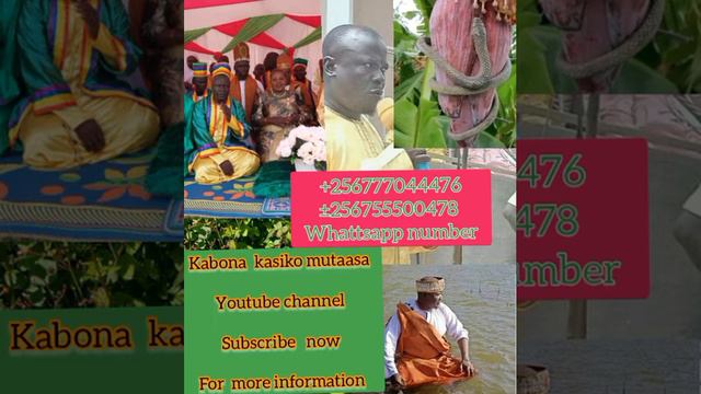 manya obuwagwa ne nono mwosibuka смотреть онлайн