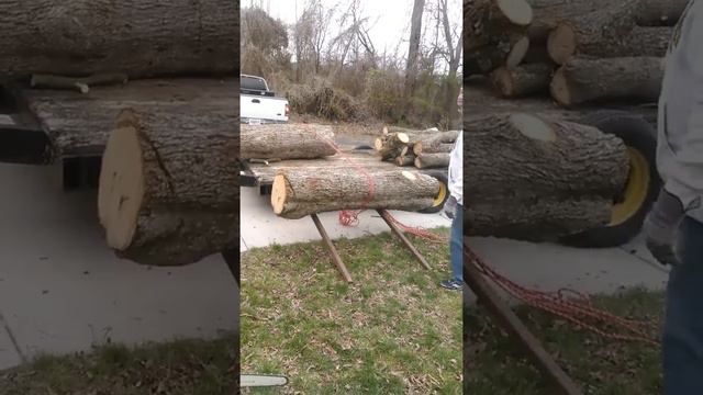 Urban Logging with Tracy Henderson смотреть онлайн
