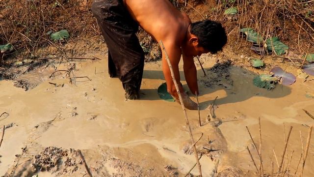 Traditional Fishing : Amazing Man Catch Big Fish By Hand смотреть онлайн