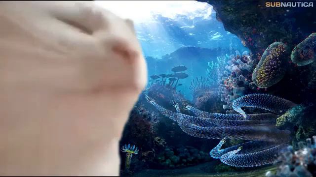 Cat vibing to Subnautica's abandon ship смотреть онлайн
