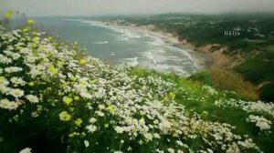 Demis Roussos - My Friend The Wind