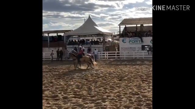 junior latercio x Nathan Queiroz.. parte 1 смотреть онлайн